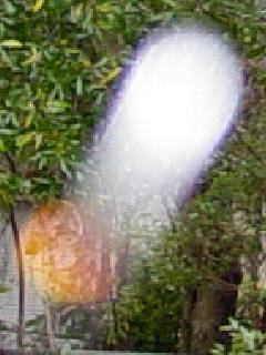 Thumb from Spirit picture 7.jpg